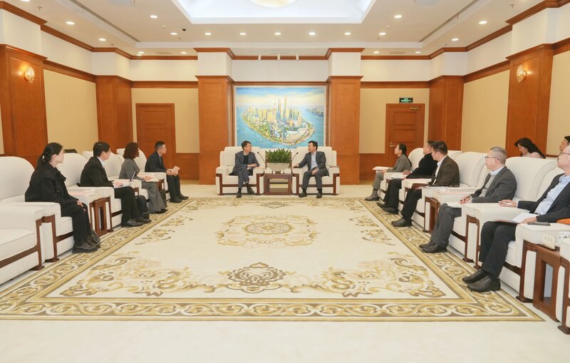 浦东区领导会见香港大学计算与数据科学学院院长马毅